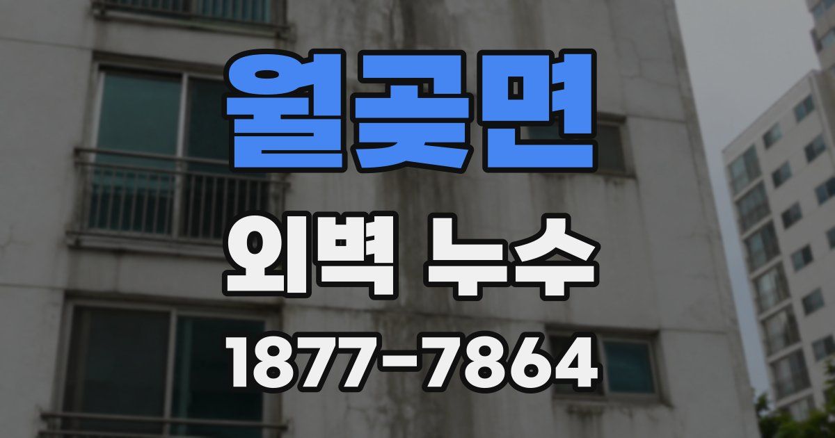 월곶면 외벽 누수
