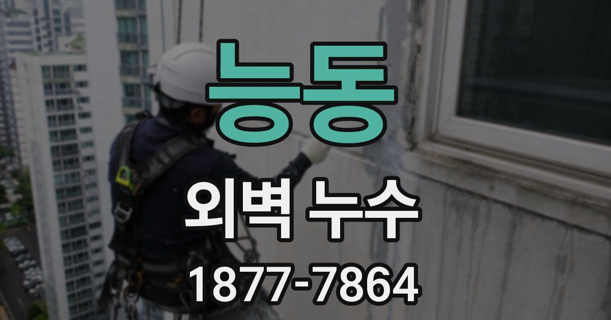 능동 외벽 누수