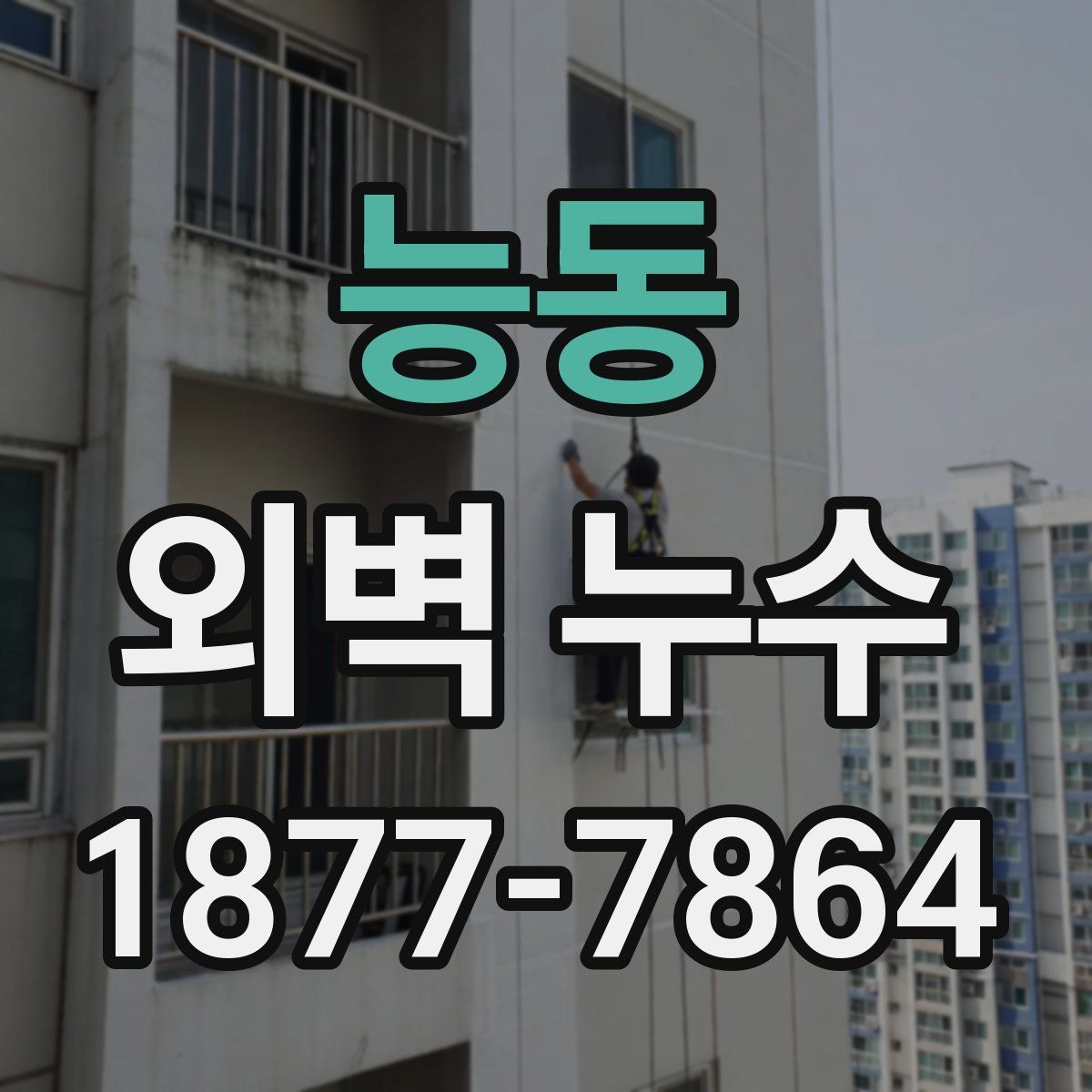 능동 외벽 누수