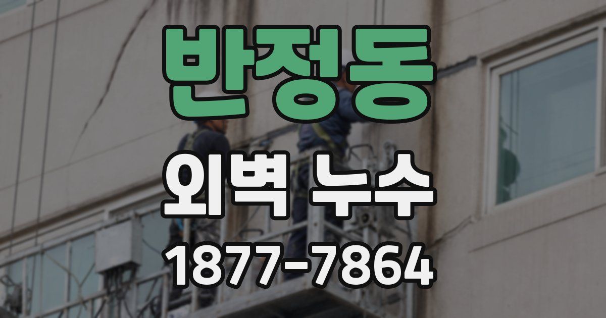 반정동 외벽 누수