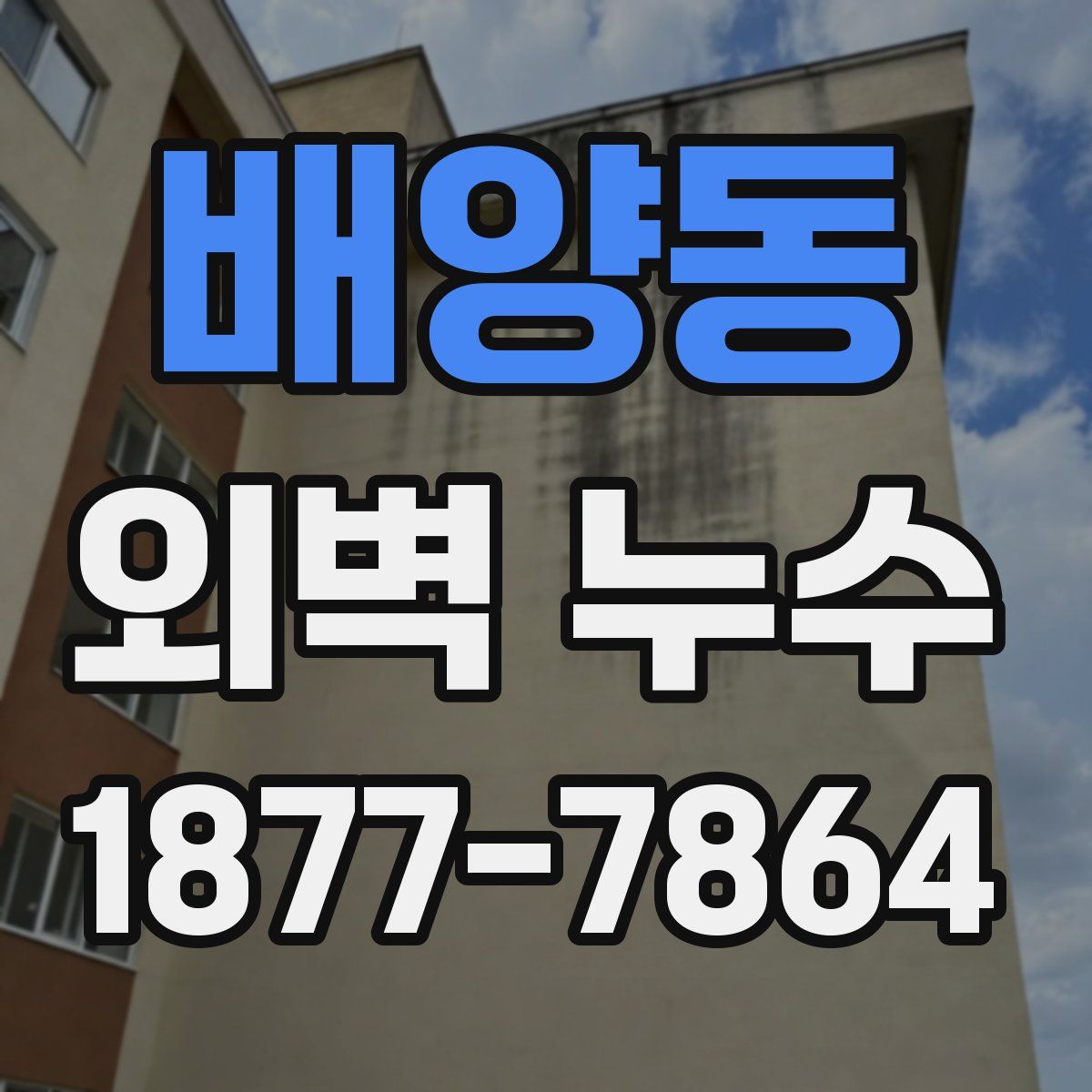 배양동 외벽 누수