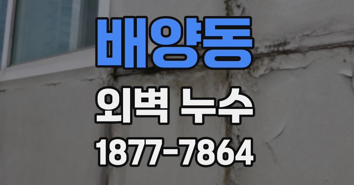 배양동 외벽 누수