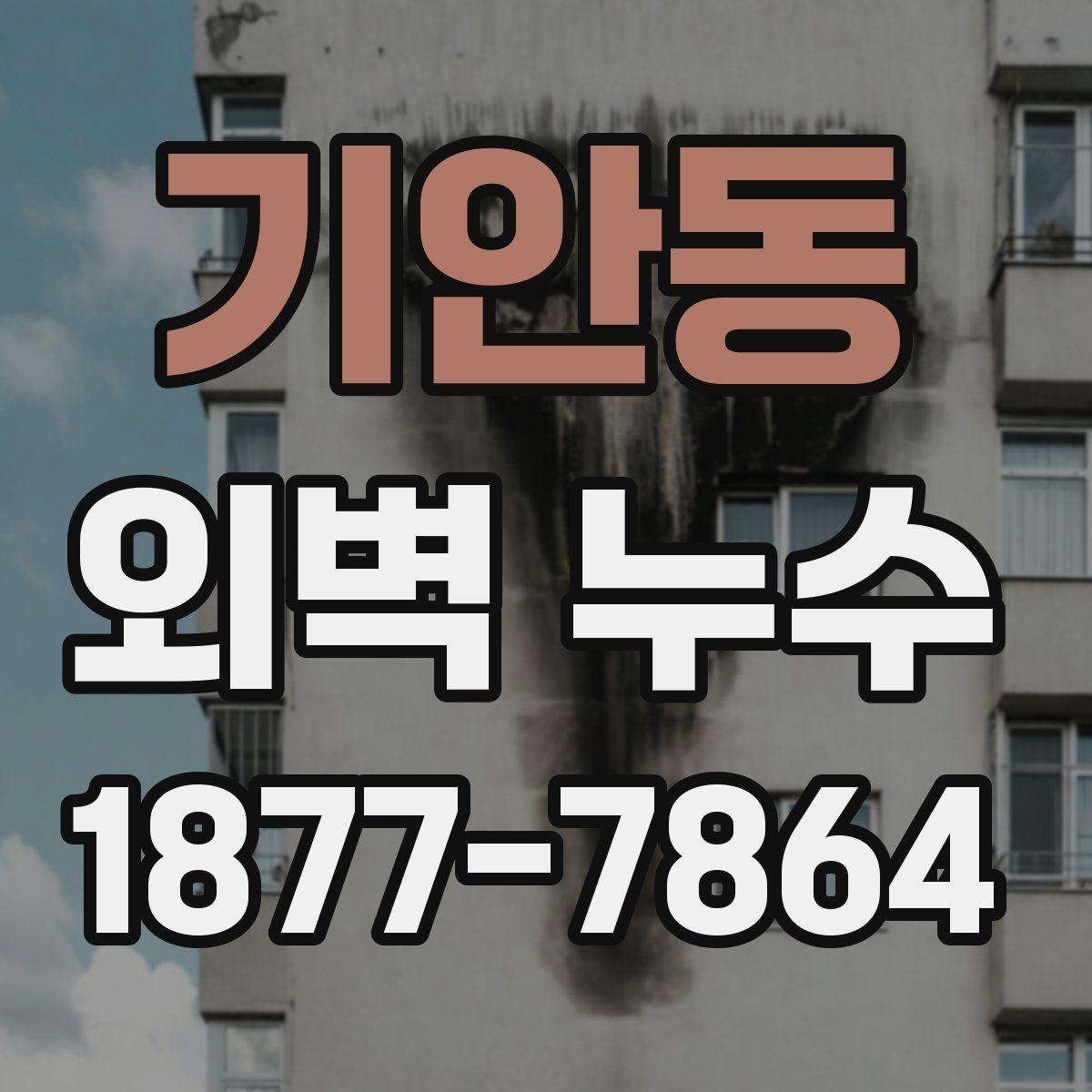 기안동 외벽 누수 의심 아파트에서 살펴볼 부분