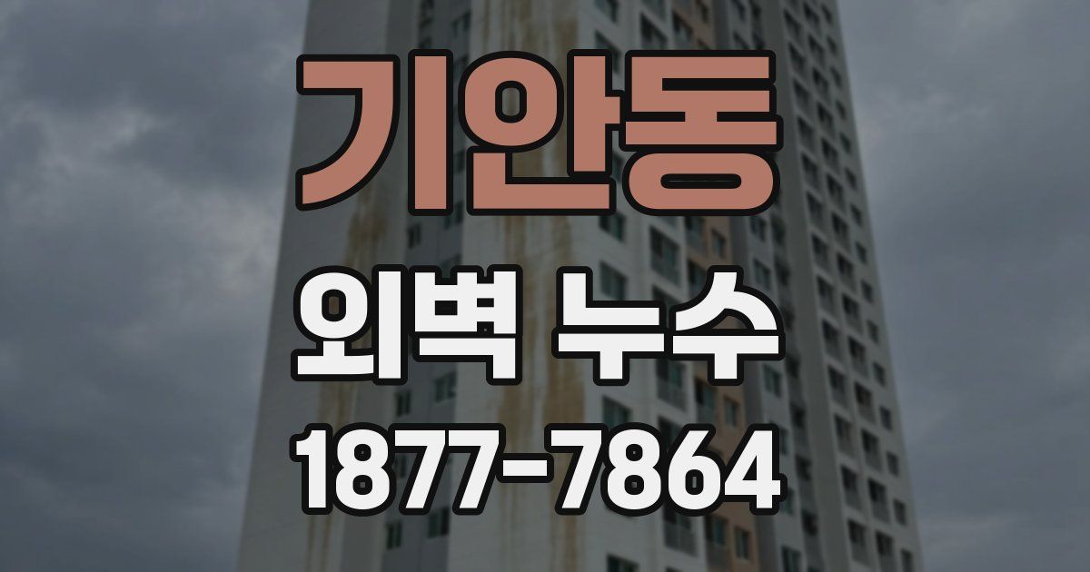 기안동 외벽 누수