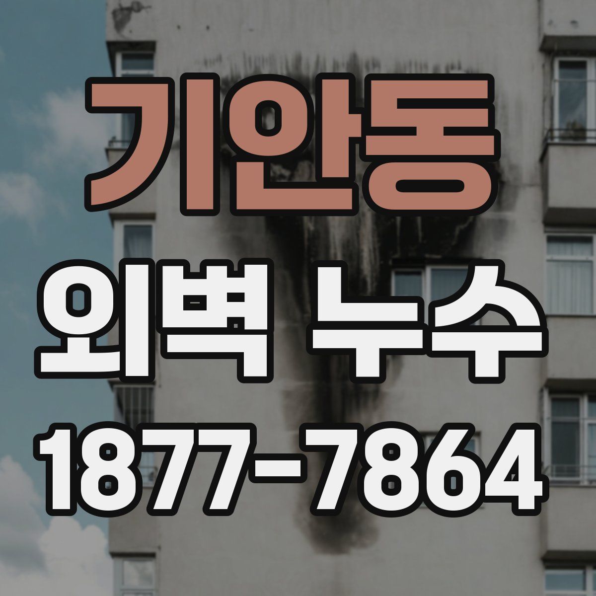 기안동 외벽 누수