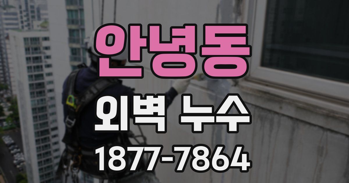 안녕동 외벽 누수
