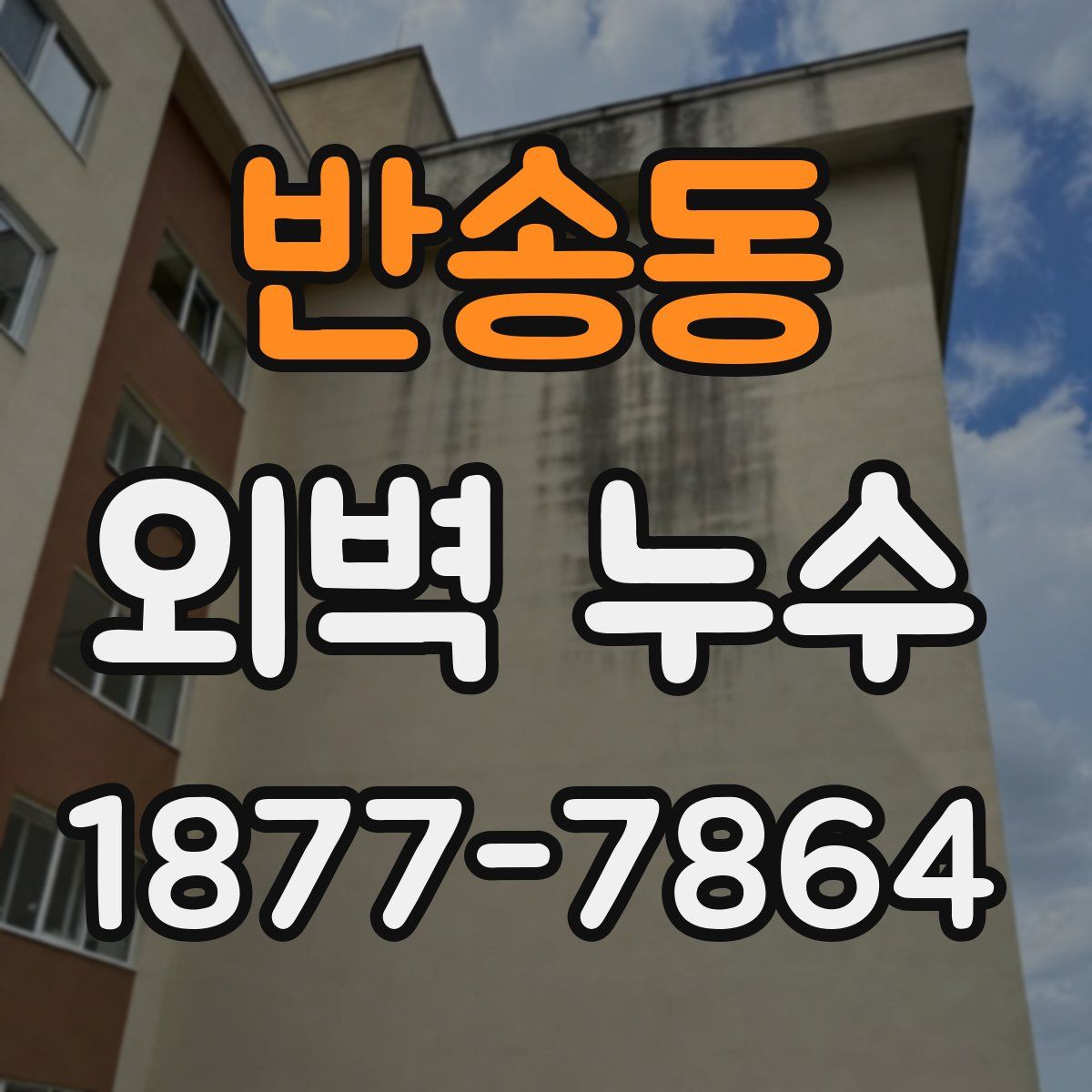 반송동 외벽 누수