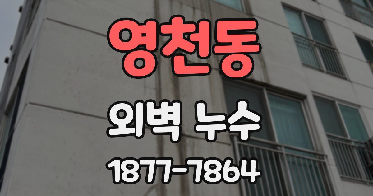 영천동 외벽 누수
