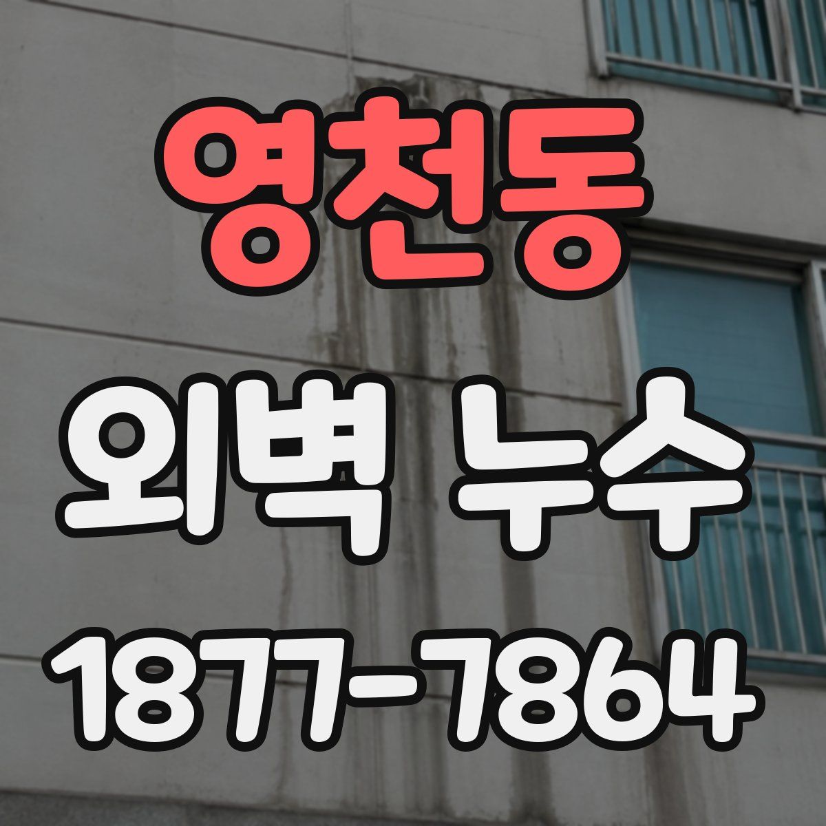 영천동 외벽 누수