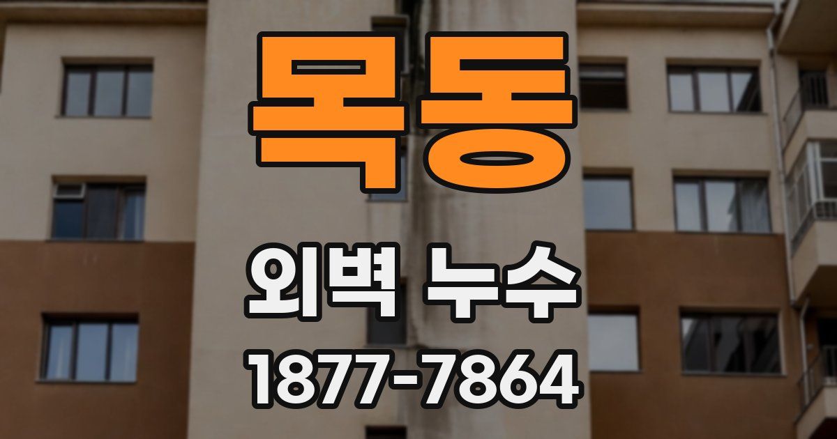 목동 외벽 누수