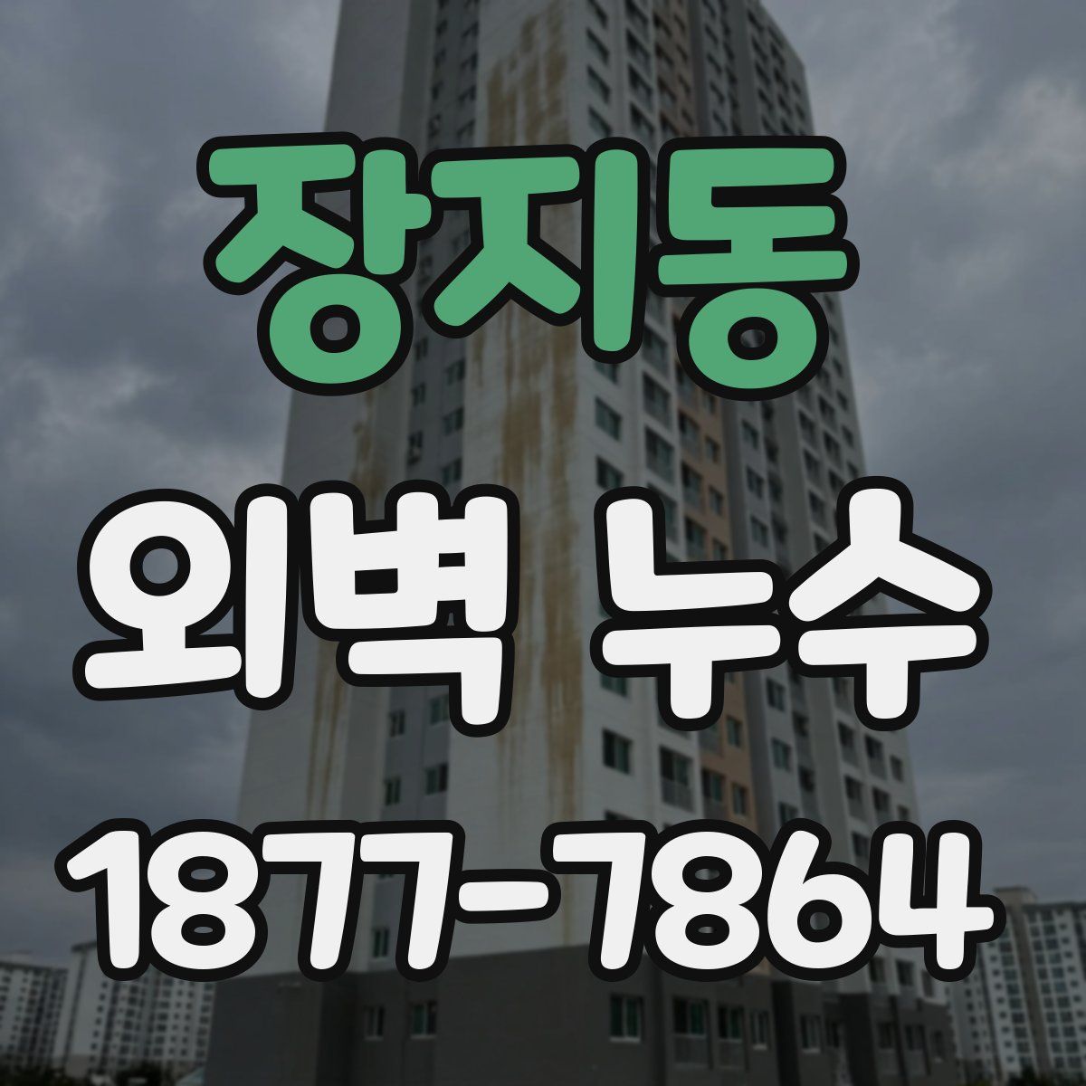 장지동 외벽 누수