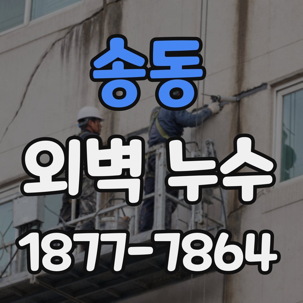 송동 외벽 누수