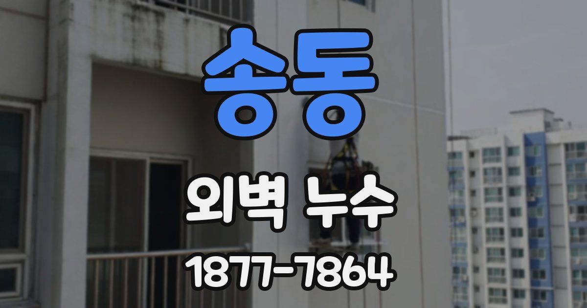 송동 외벽 누수