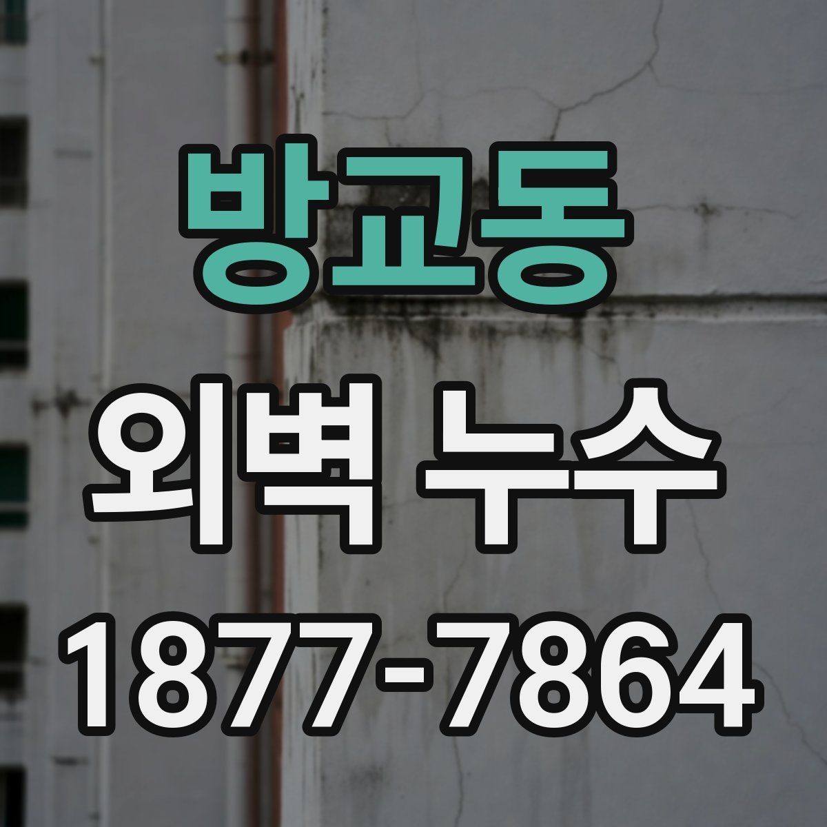 방교동 외벽 누수 확인 후 보험과 보상 살펴보기