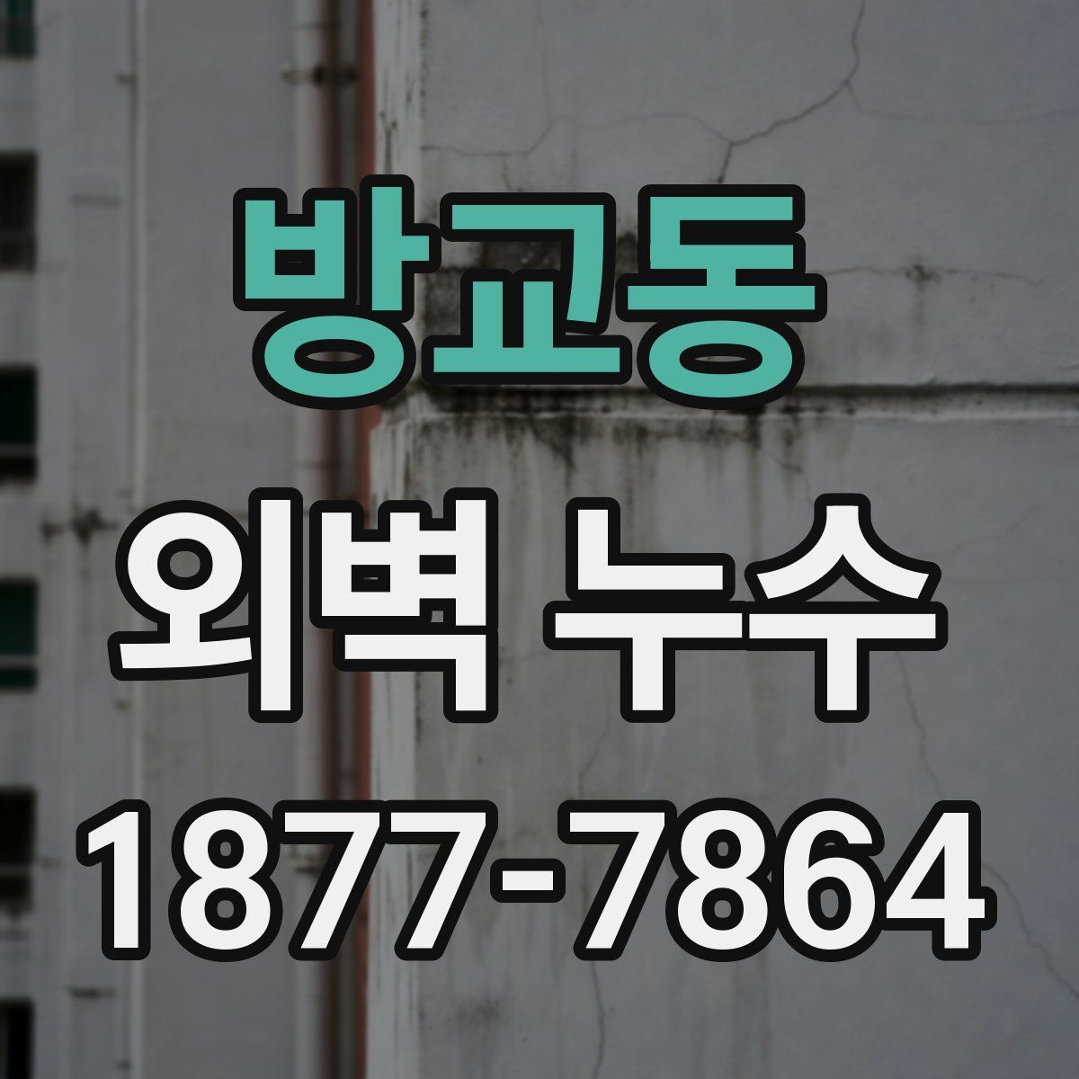 방교동 외벽 누수