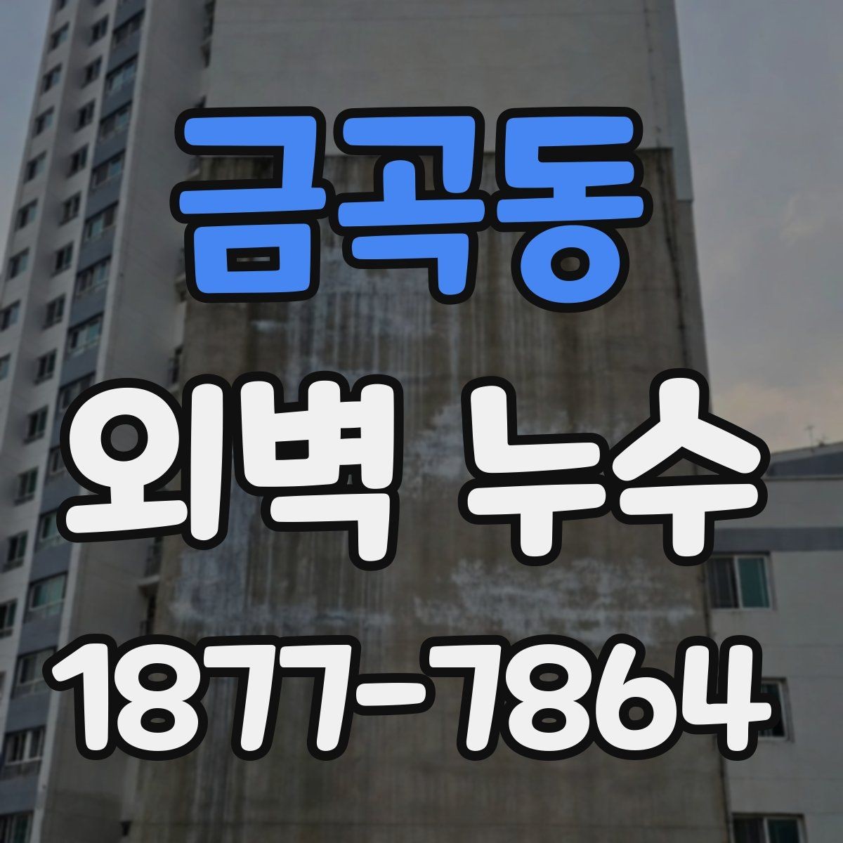 금곡동 외벽 누수 관리에서 놓치기 쉬운 부분