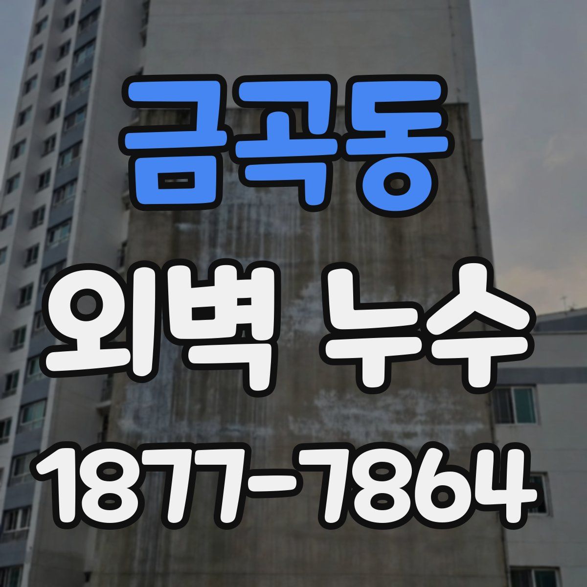 금곡동 외벽 누수