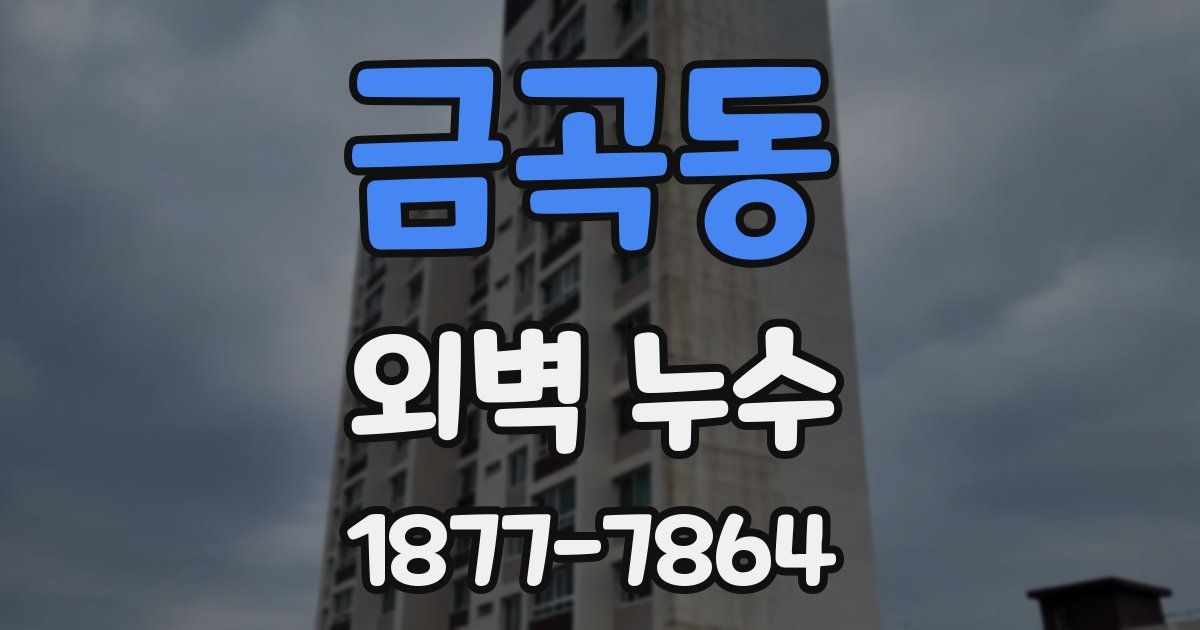 금곡동 외벽 누수