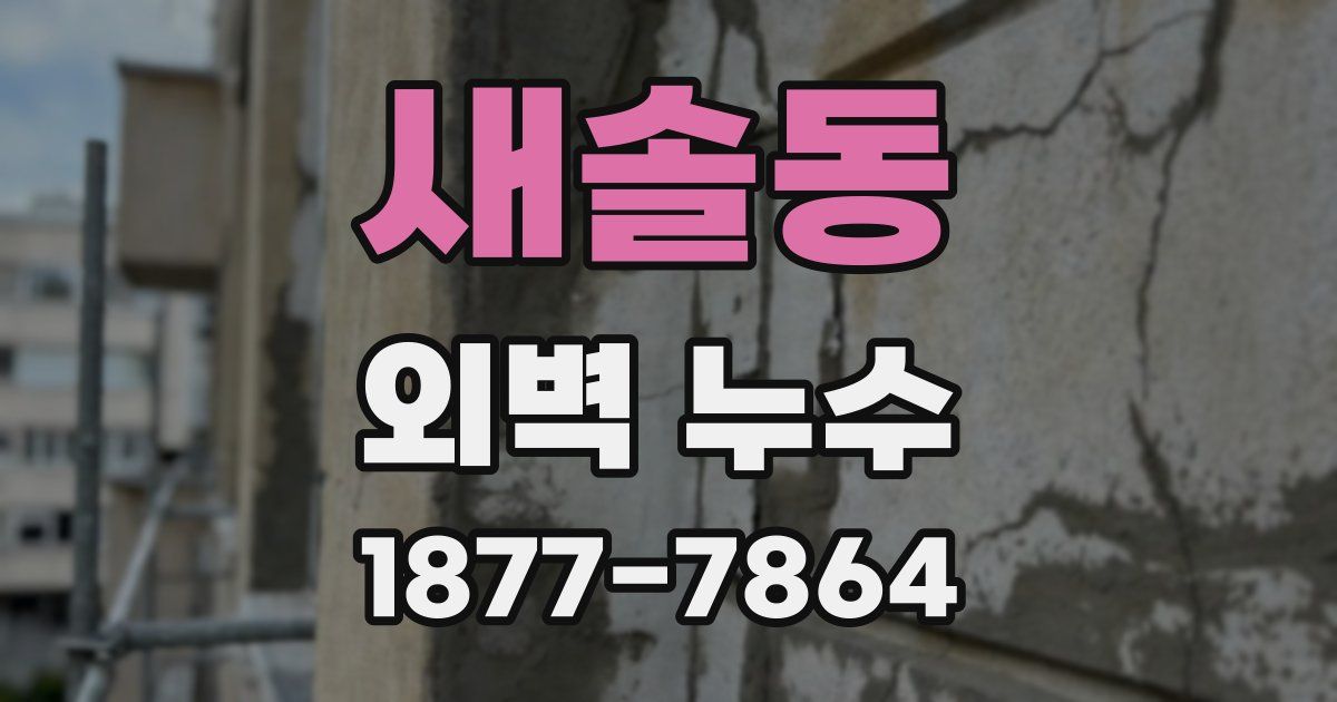 새솔동 외벽 누수