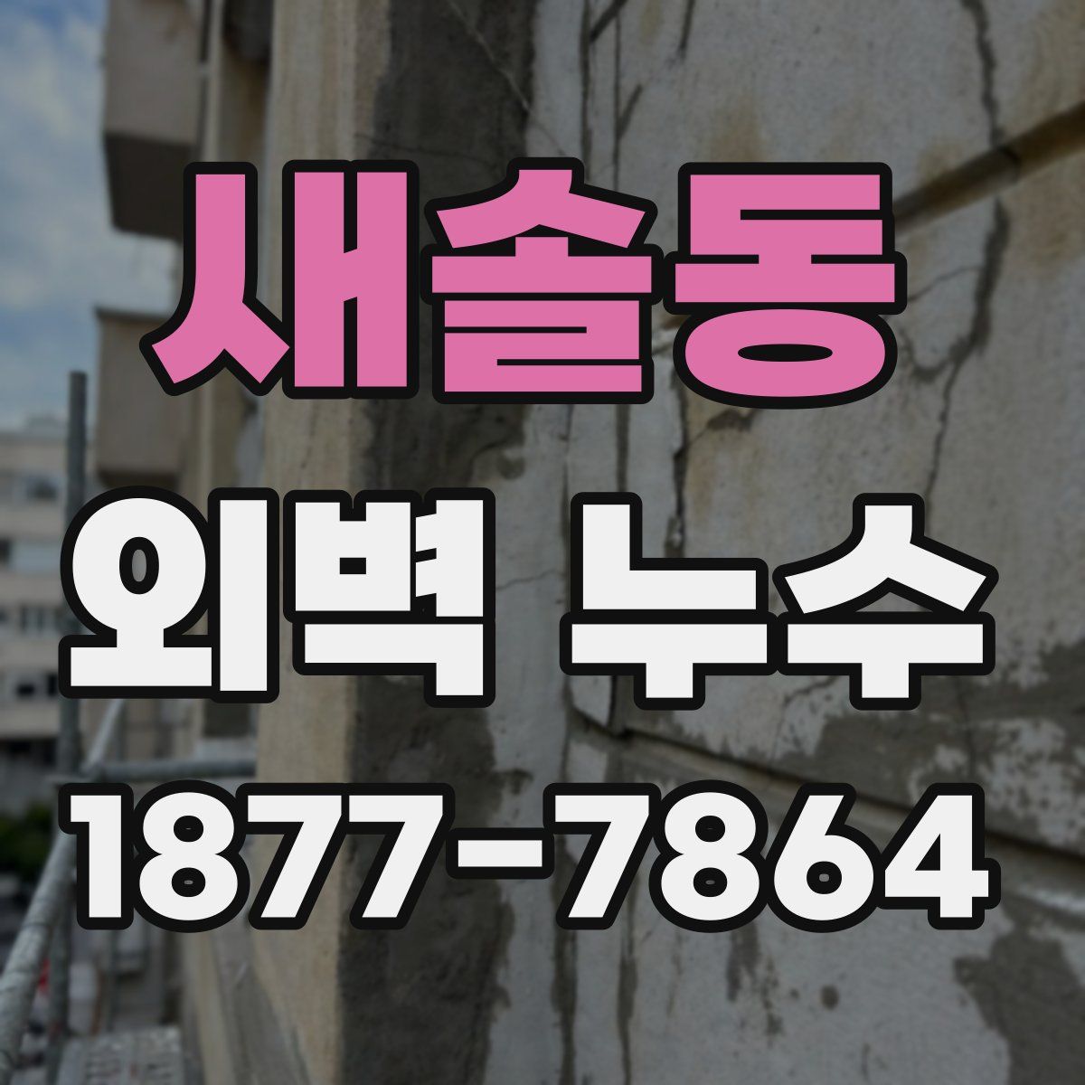 새솔동 외벽 누수