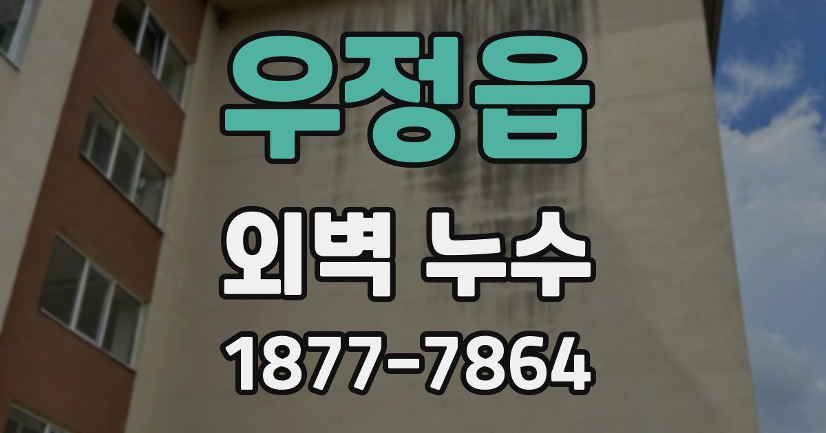 우정읍 외벽 누수