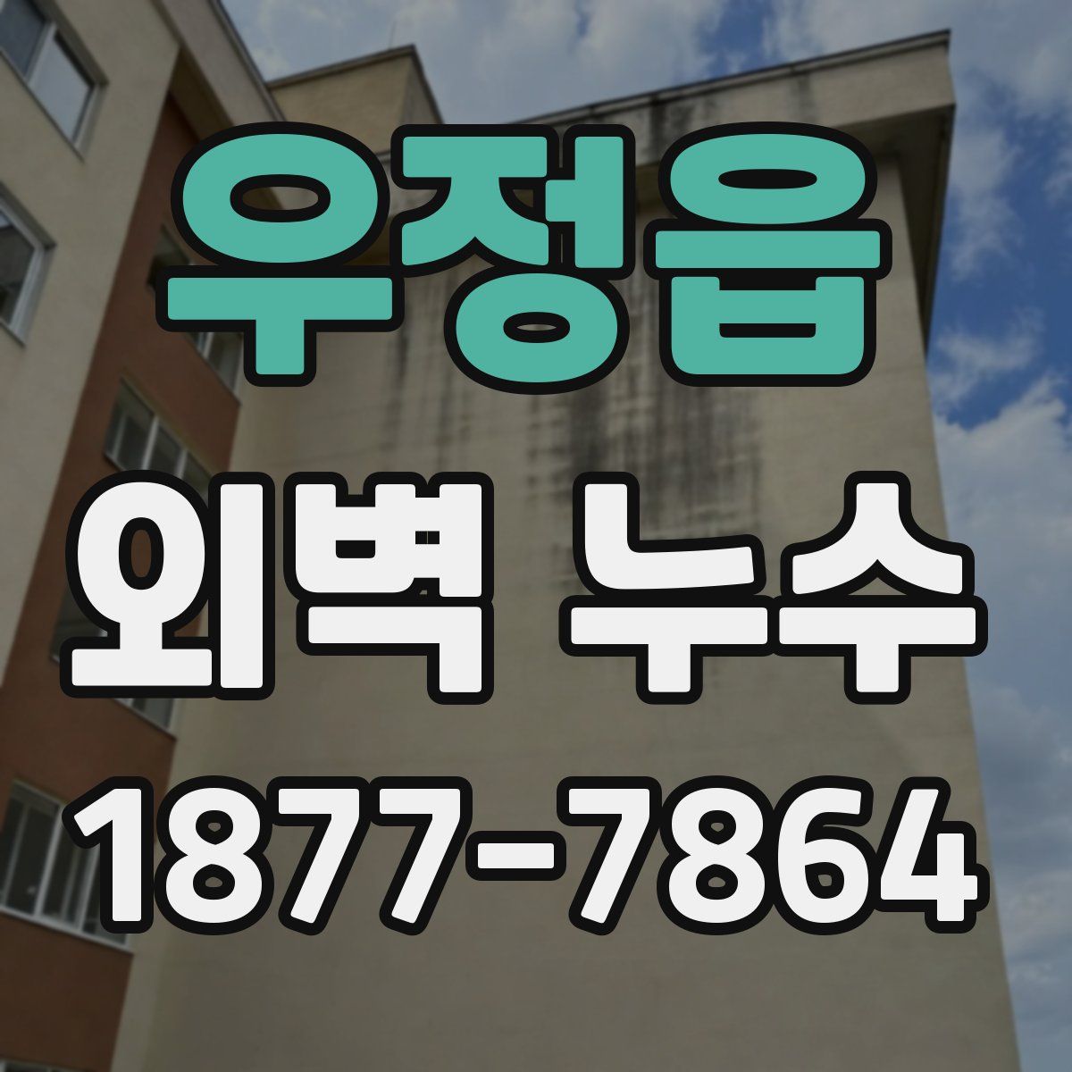 우정읍 외벽 누수