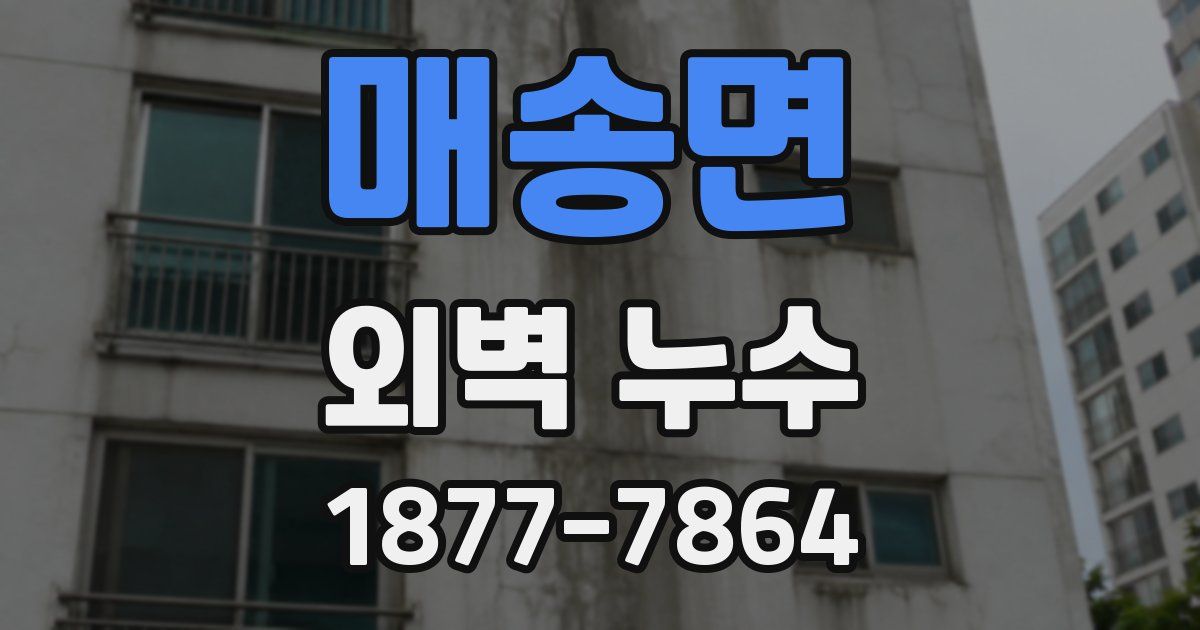 매송면 외벽 누수