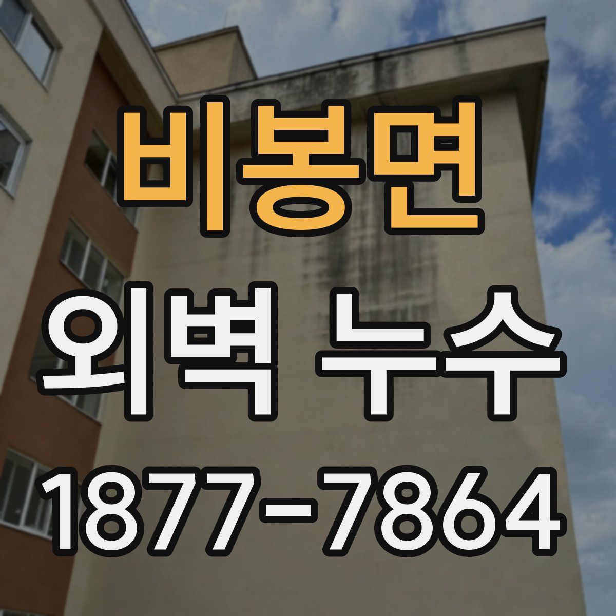 비봉면 외벽 누수