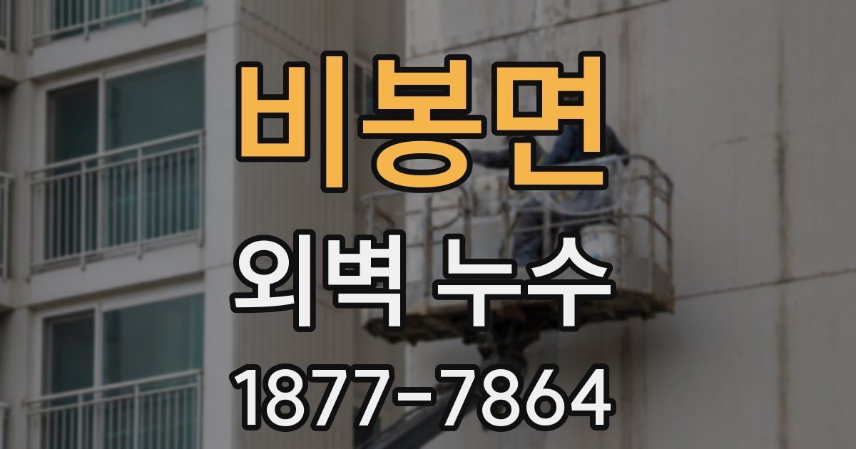 비봉면 외벽 누수