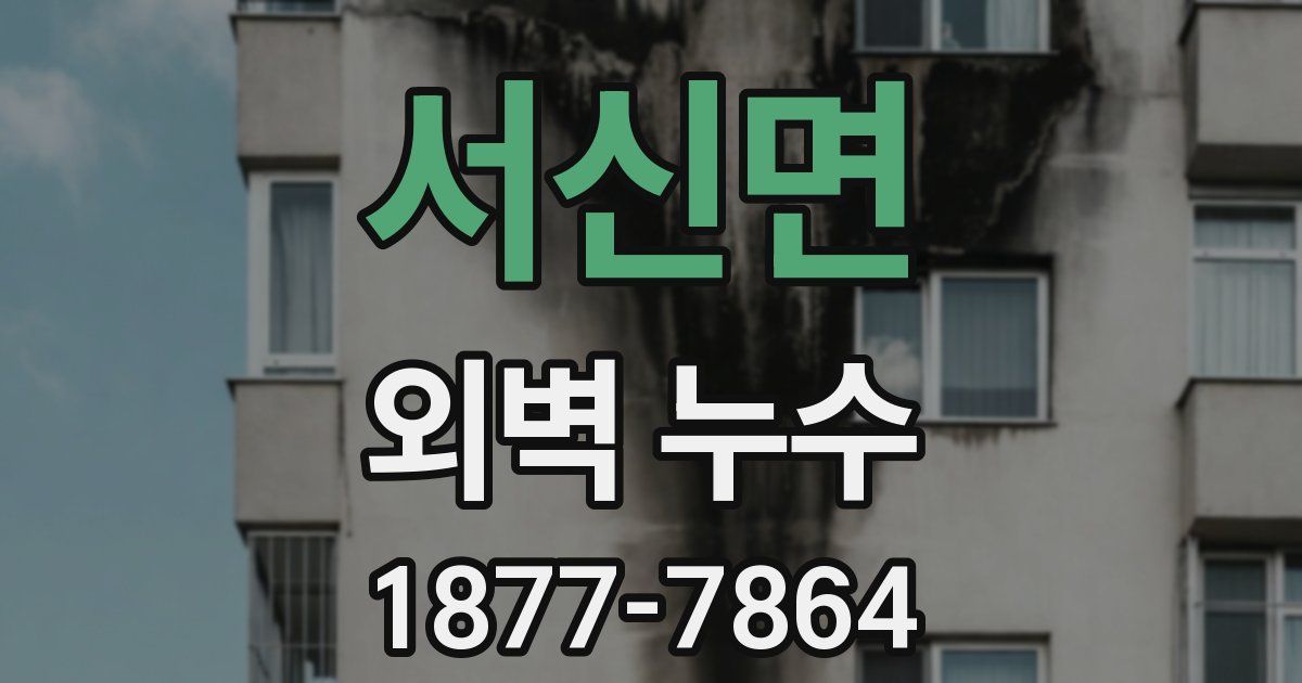 서신면 외벽 누수