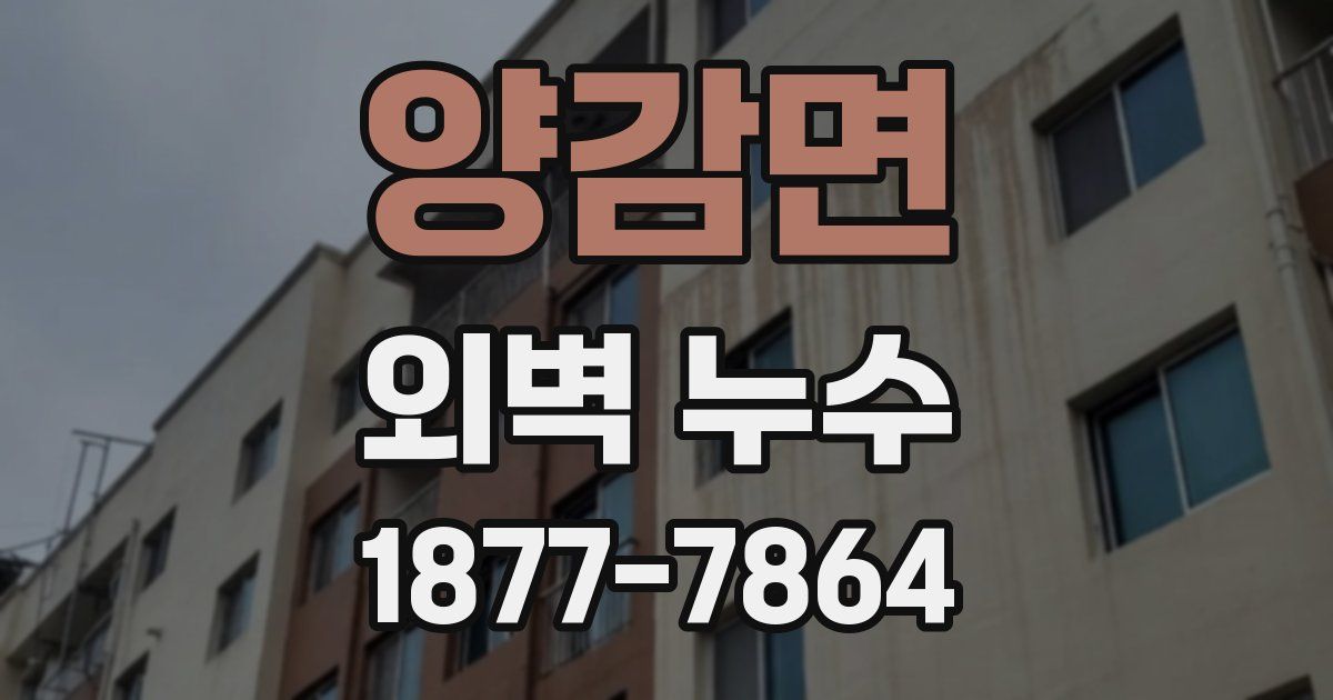 양감면 외벽 누수