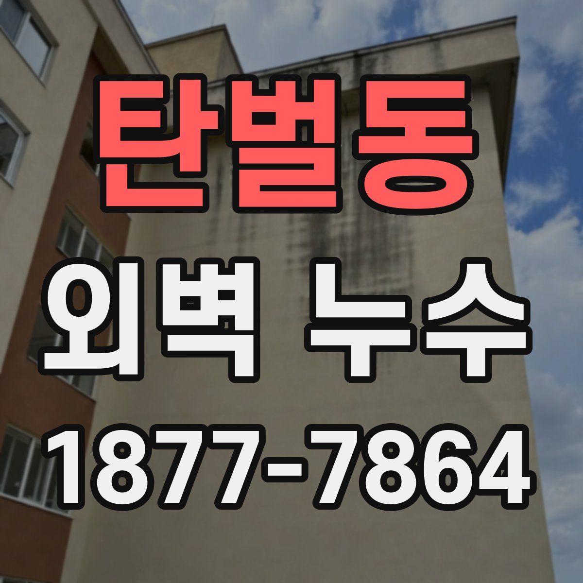 탄벌동 외벽 누수
