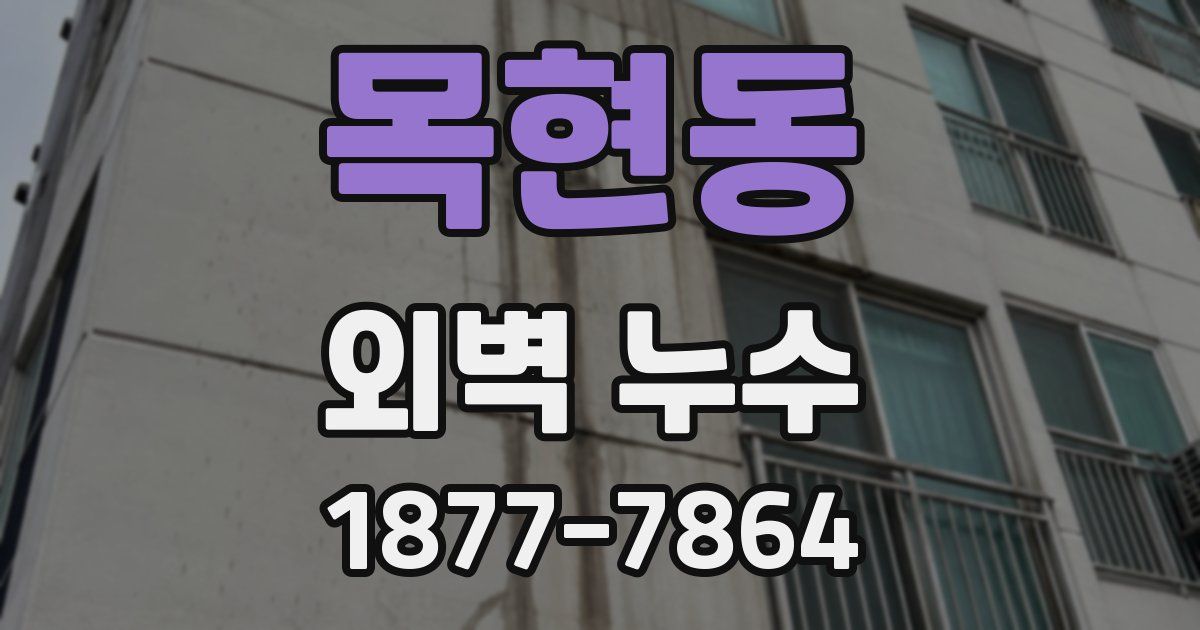 목현동 외벽 누수