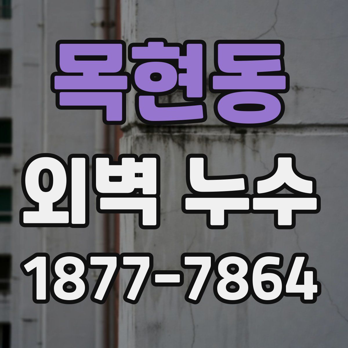 목현동 외벽 누수