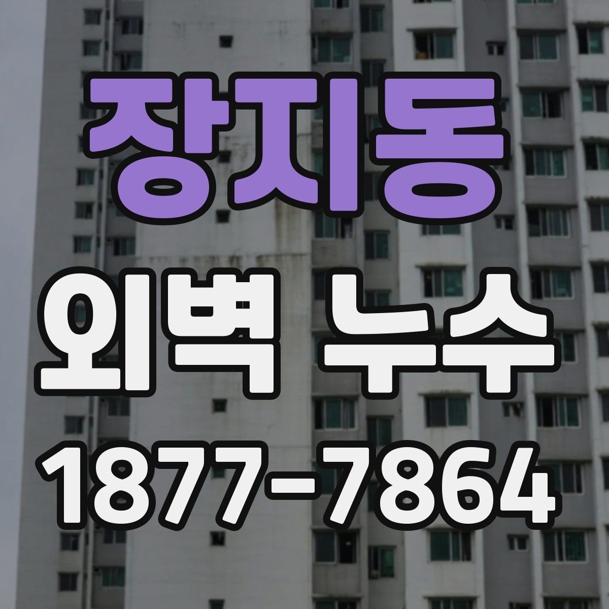 장지동 외벽 누수 공사 전 비교해야 할 기준