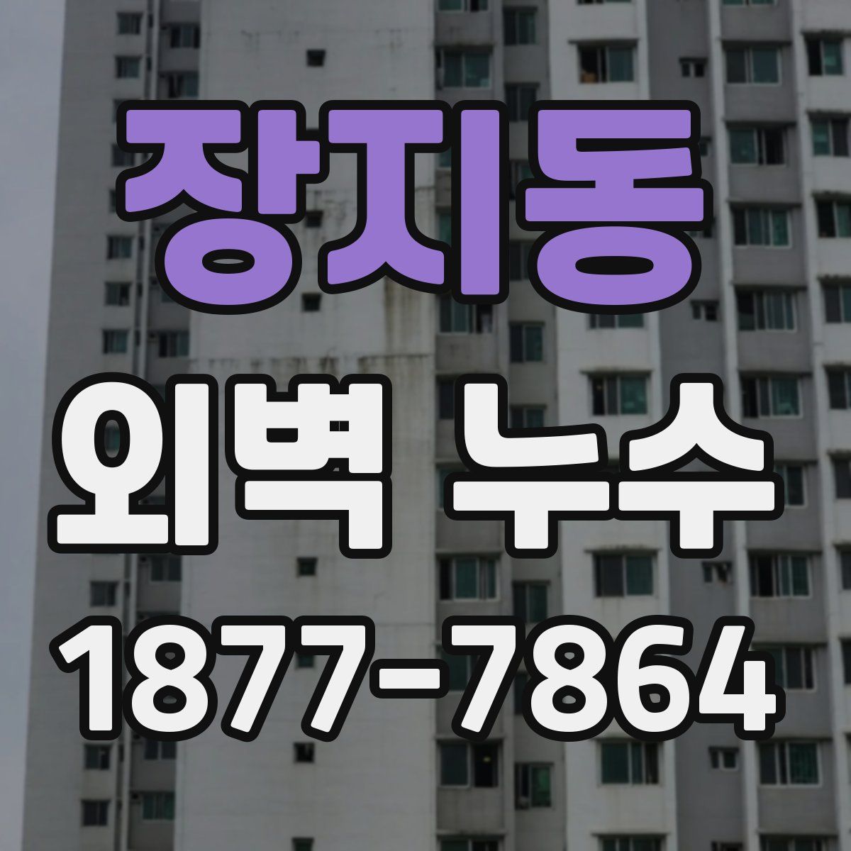 장지동 외벽 누수