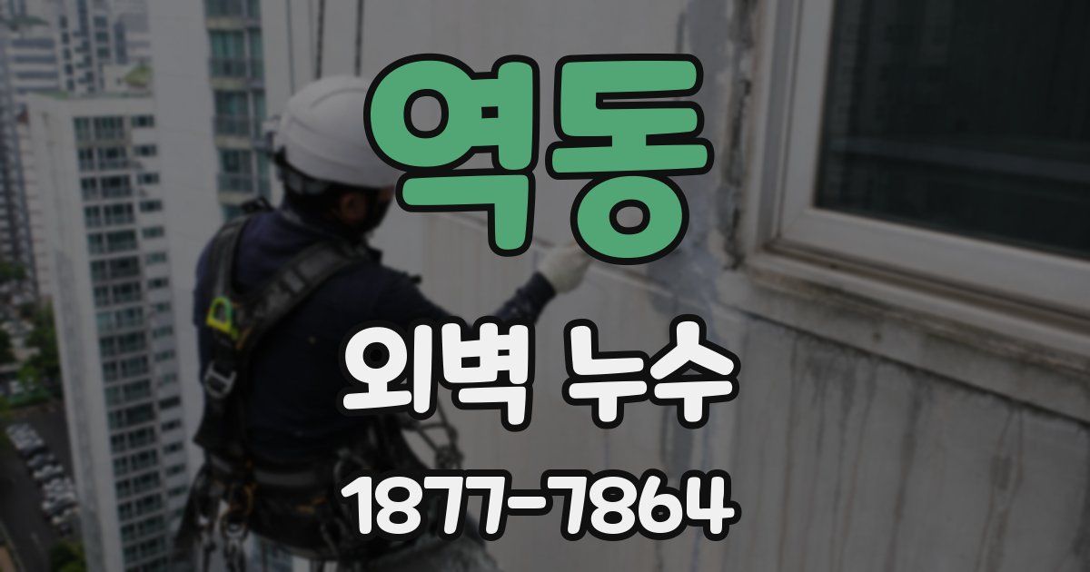 역동 외벽 누수