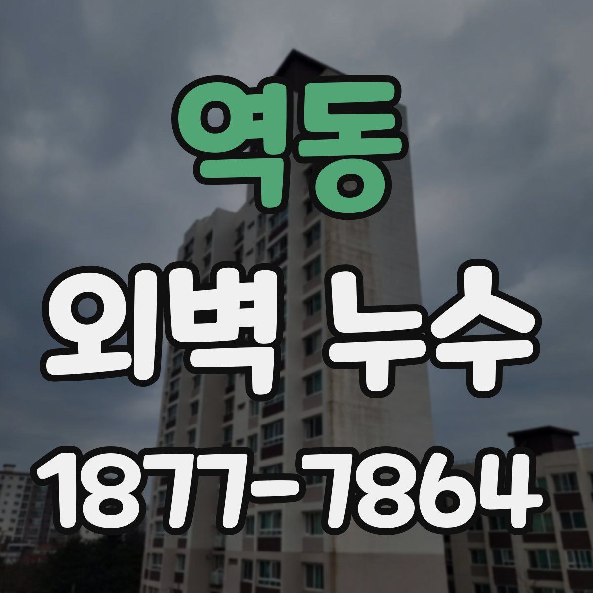 역동 외벽 누수