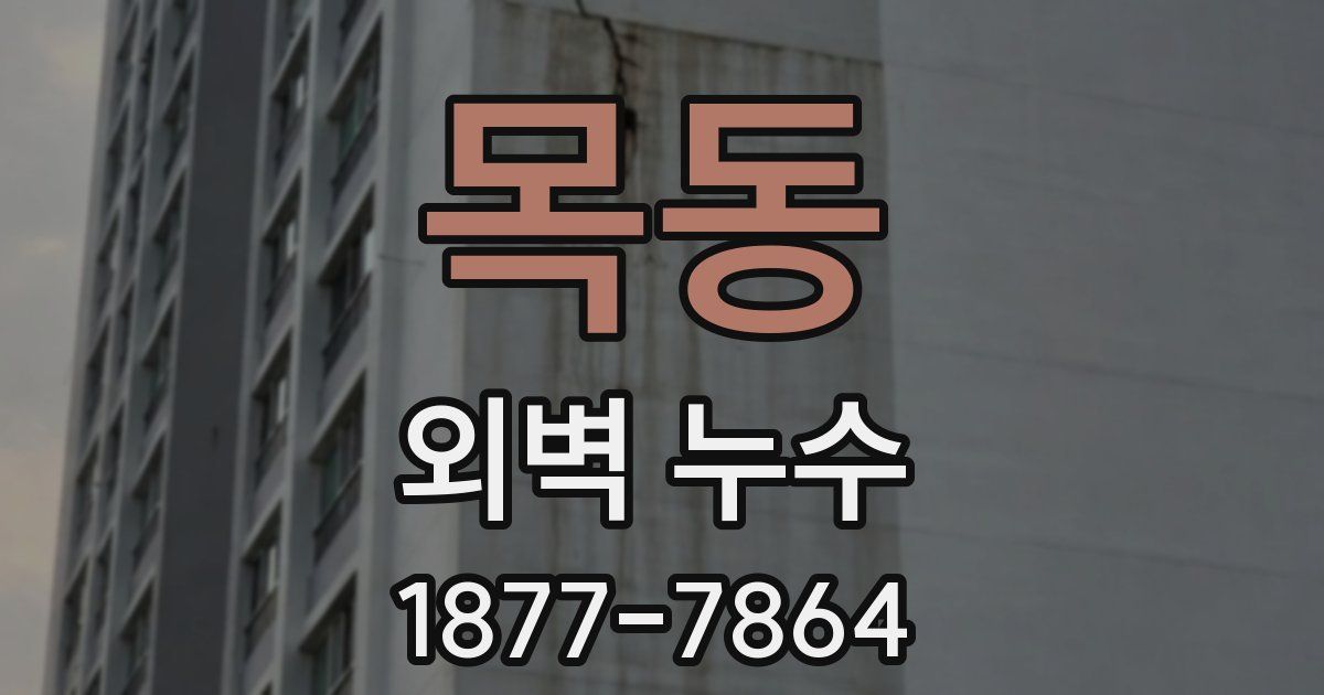 목동 외벽 누수