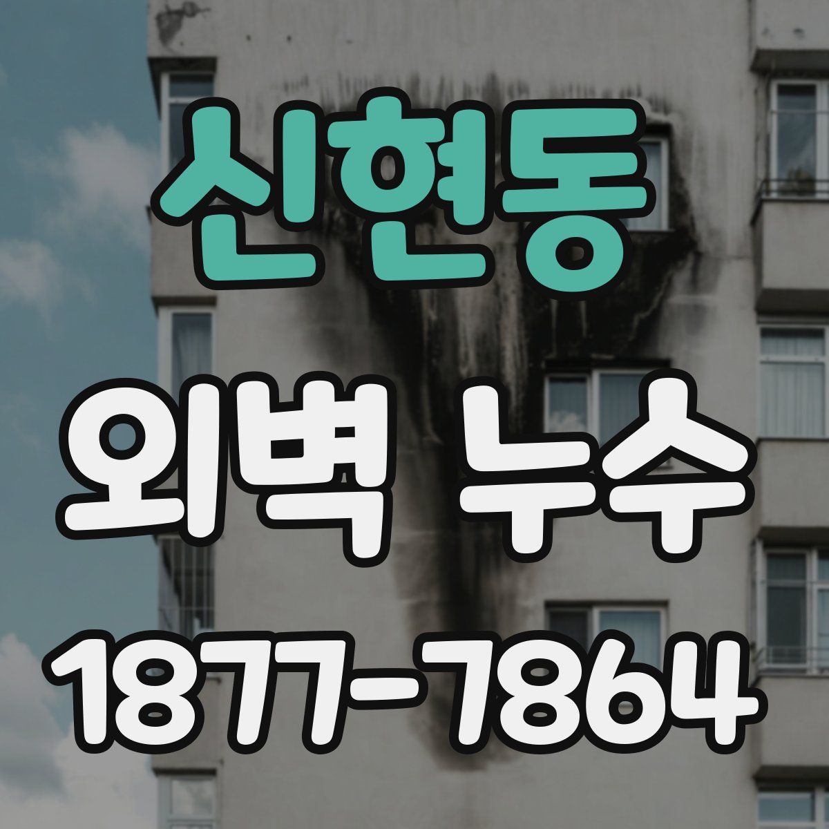 신현동 외벽 누수
