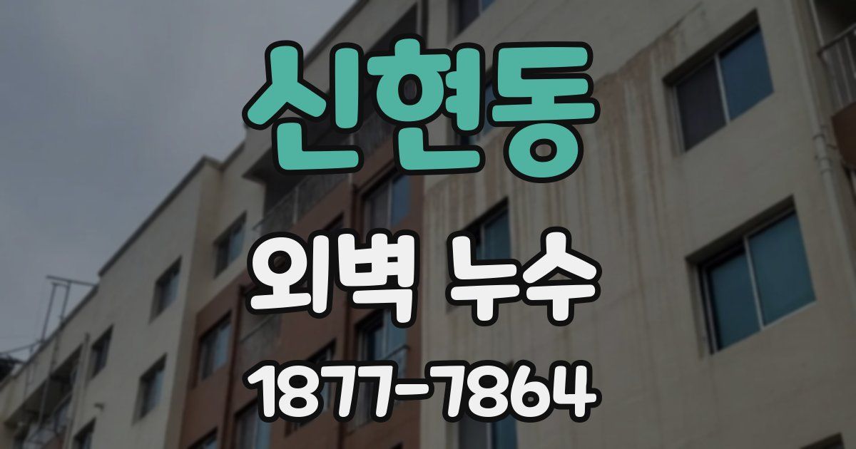 신현동 외벽 누수