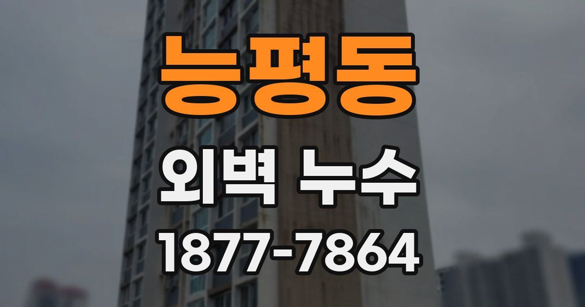능평동 외벽 누수