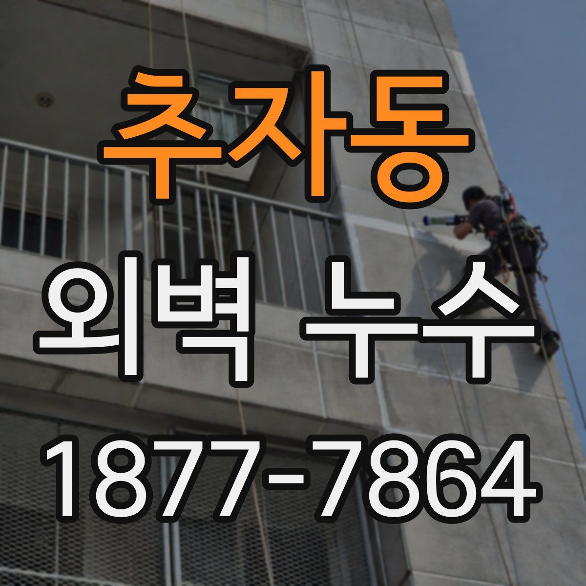 추자동 외벽 누수