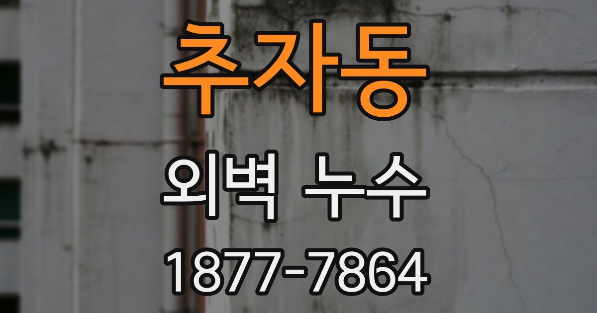 추자동 외벽 누수