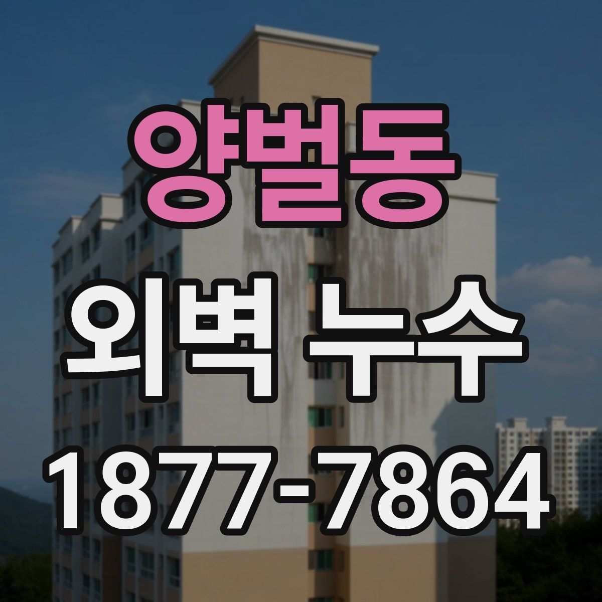 양벌동 외벽 누수