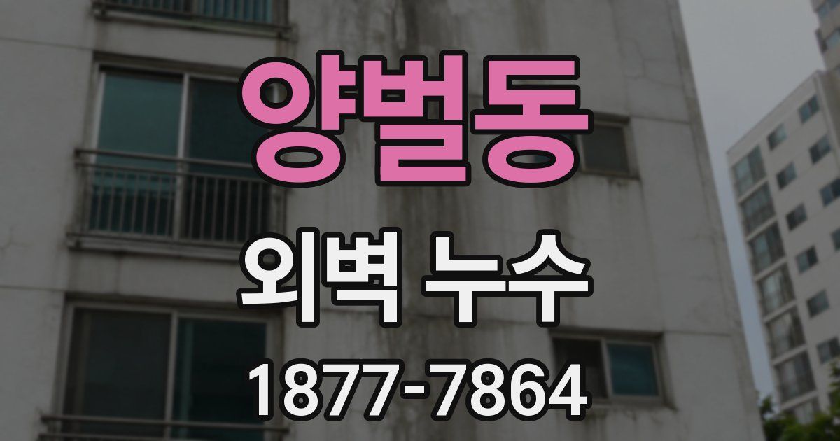 양벌동 외벽 누수