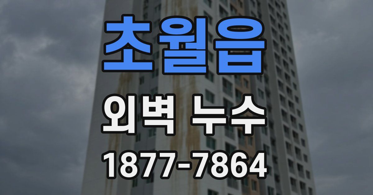 초월읍 외벽 누수
