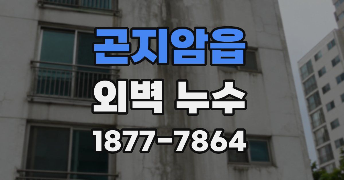 곤지암읍 외벽 누수