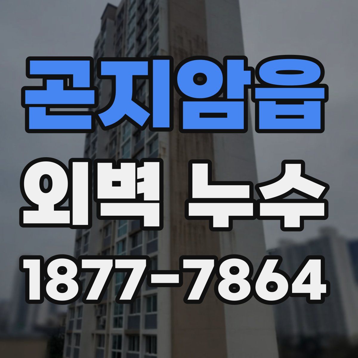 곤지암읍 외벽 누수