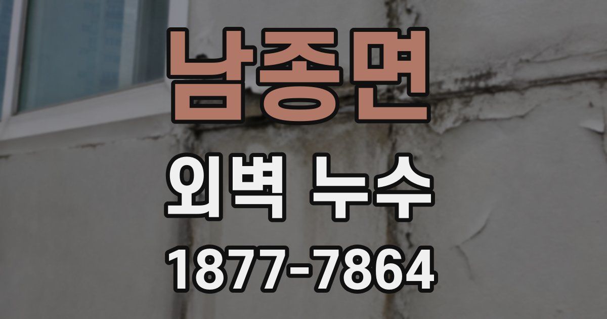 남종면 외벽 누수